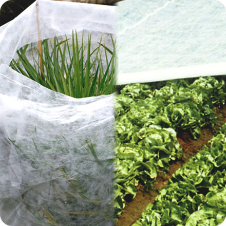 white garden plant protection fleece 1.5m x 8m