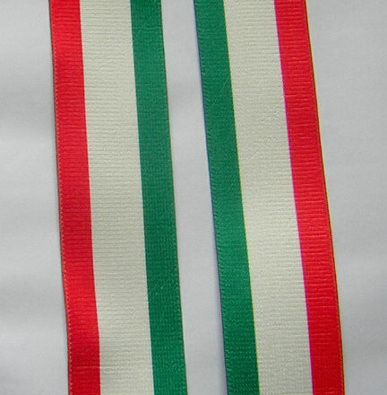 MENS BRACES ITALIAN FLAG