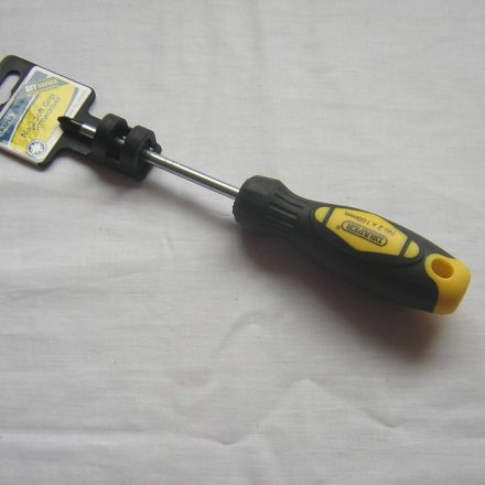 DRAPER POZI 2 100MM SCREWDRIVER