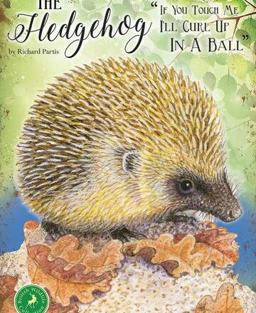 JUMBO FRIDGE MAGNET HEDGEHOG DESIGN