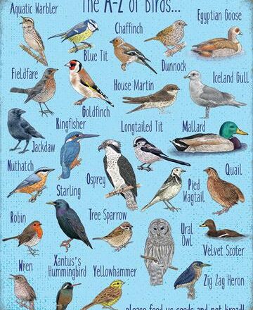 JUMBO FRIDGE MAGNET A-Z OF BIRDS DESIGN