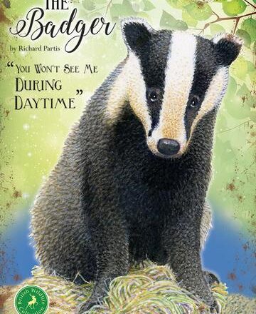 JUMBO FRIDGE MAGNET BADGER DESIGN