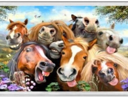 JUMBO FRIDGE MAGNET HORSES SELFIE DESIGN