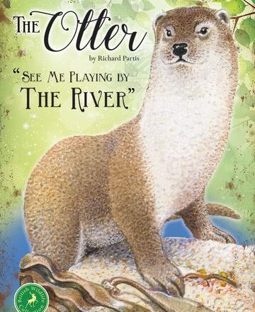 JUMBO FRIDGE MAGNET OTTER DESIGN
