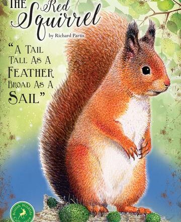 JUMBO FRIDGE MAGNET SQUIRREL DESIGN