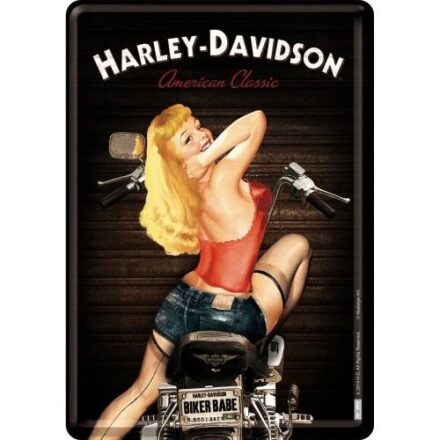 HARLEY DAVIDSON BIKER BABE MINI METAL SIGN POSTCARD
