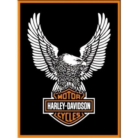 HARLEY DAVIDSON LOGO AND EAGLE JUMBO FRIDGE MAGNET