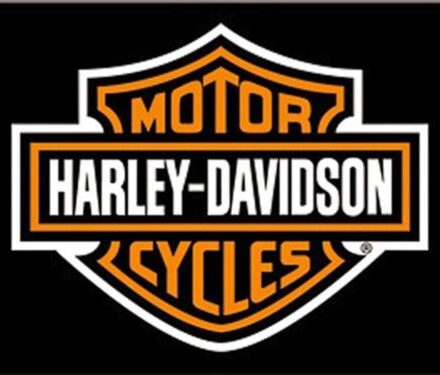HARLEY DAVIDSON LOGO JUMBO FRIDGE MAGNET