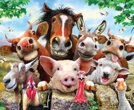 FARM ANIMALS SELFIE JUMBO FRIDGE MAGNET