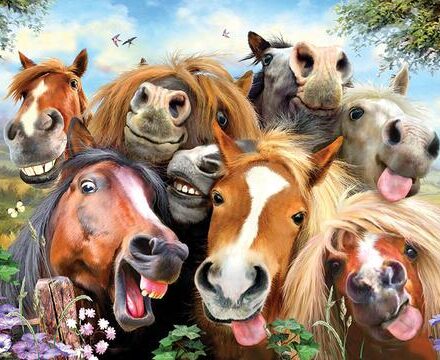 HORSES SELFIE JUMBO FRIDGE MAGNET