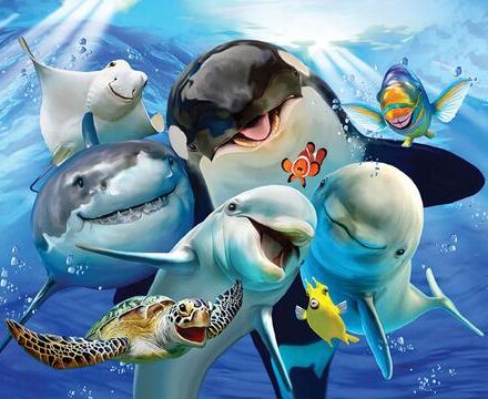 OCEAN LIFE ANIMALS SELFIE JUMBO FRIDGE MAGNET