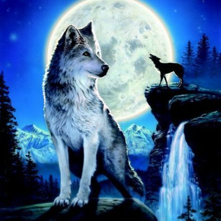 WOLF WOLVES BLUE MOON FANTASY ART BLANK GREETING CARD