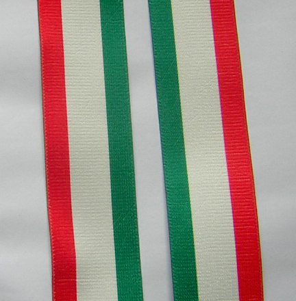 MENS BRACES ITALIAN FLAG STRIPES DESIGN