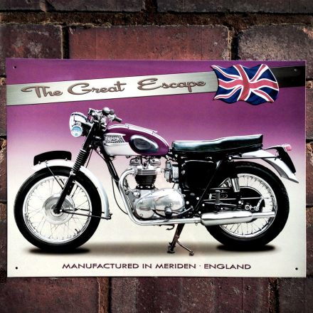 TRIUMPH TR6 TROPHY MOTORBIKE METAL SIGN