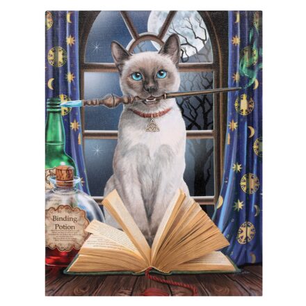 HOCUS POCUS CAT CANVAS WALL PICTURE PLAQUE