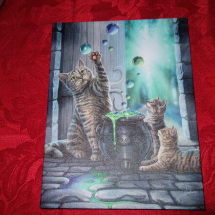 CAT KITTENS AND BUBBLES CANVAS WALL PICTURE PLAQUE