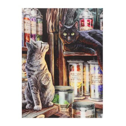 CATS IN MAGICAL EMPORIUM CANVAS WALL PICTURE PLAQUE