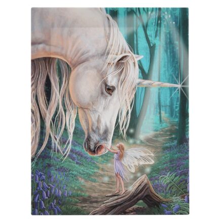 UNICORN AND FAIRY WHISPERS CANVAS WALL PICTURE PLAQUE