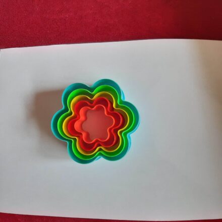 5pc FLOWER BISCUIT COOKIES PASTRY CUTTER SET