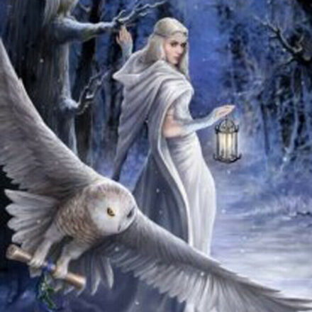 CHRISTMAS YULETIDE GREETING CARD MIDNIGHT MESSENGER OWL DESIGN