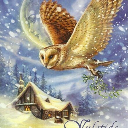 CHRISTMAS YULETIDE GREETING CARD THE SNOW BRINGER OWL DESIGN